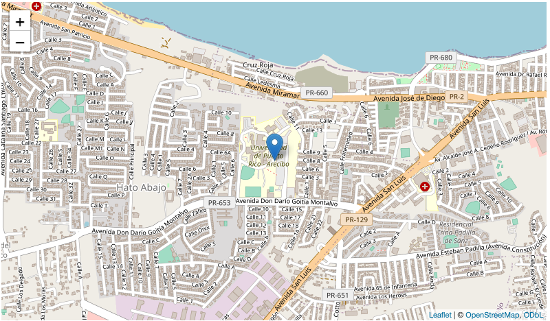 Pin of my college